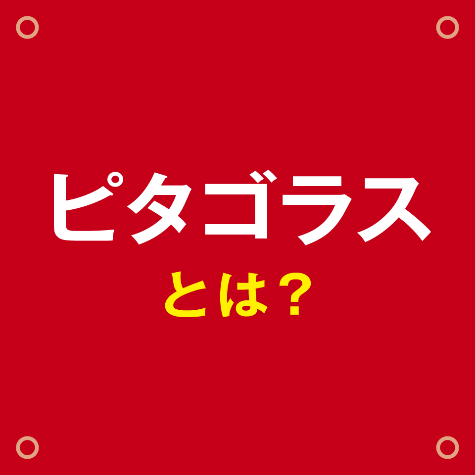 ピタゴラスシリーズ ピタゴラス ブロック おもちゃ 乳幼児玩具メーカー ピープル