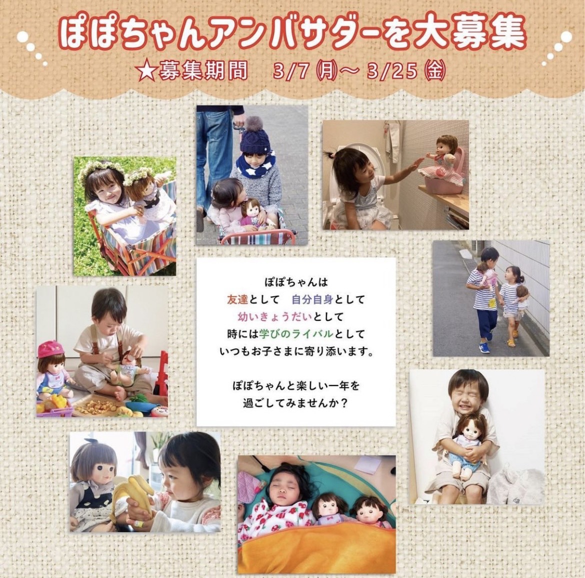 ピープル ファースト ぽぽちゃん ボックス