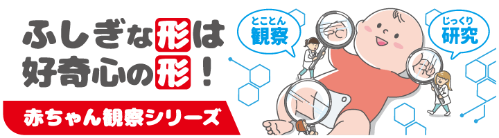 赤ちゃん観察シリーズ