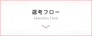 選考フロー