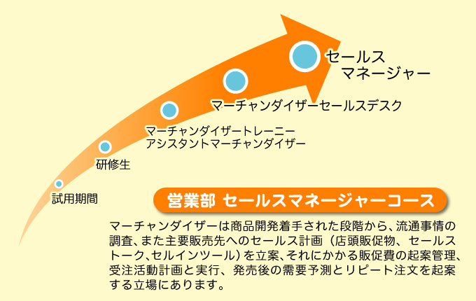 営業推進部 マーチャンダイザーコース