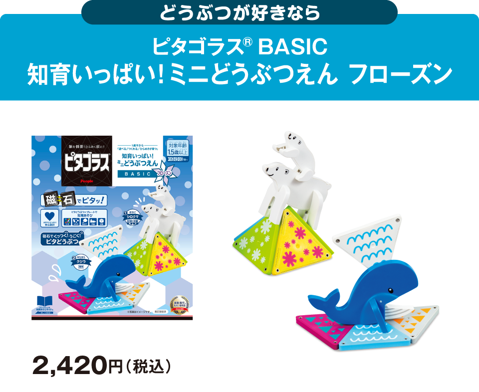 ピタゴラスラインナップ | おもちゃ-ピタゴラス・ブロック | 乳幼児 ...