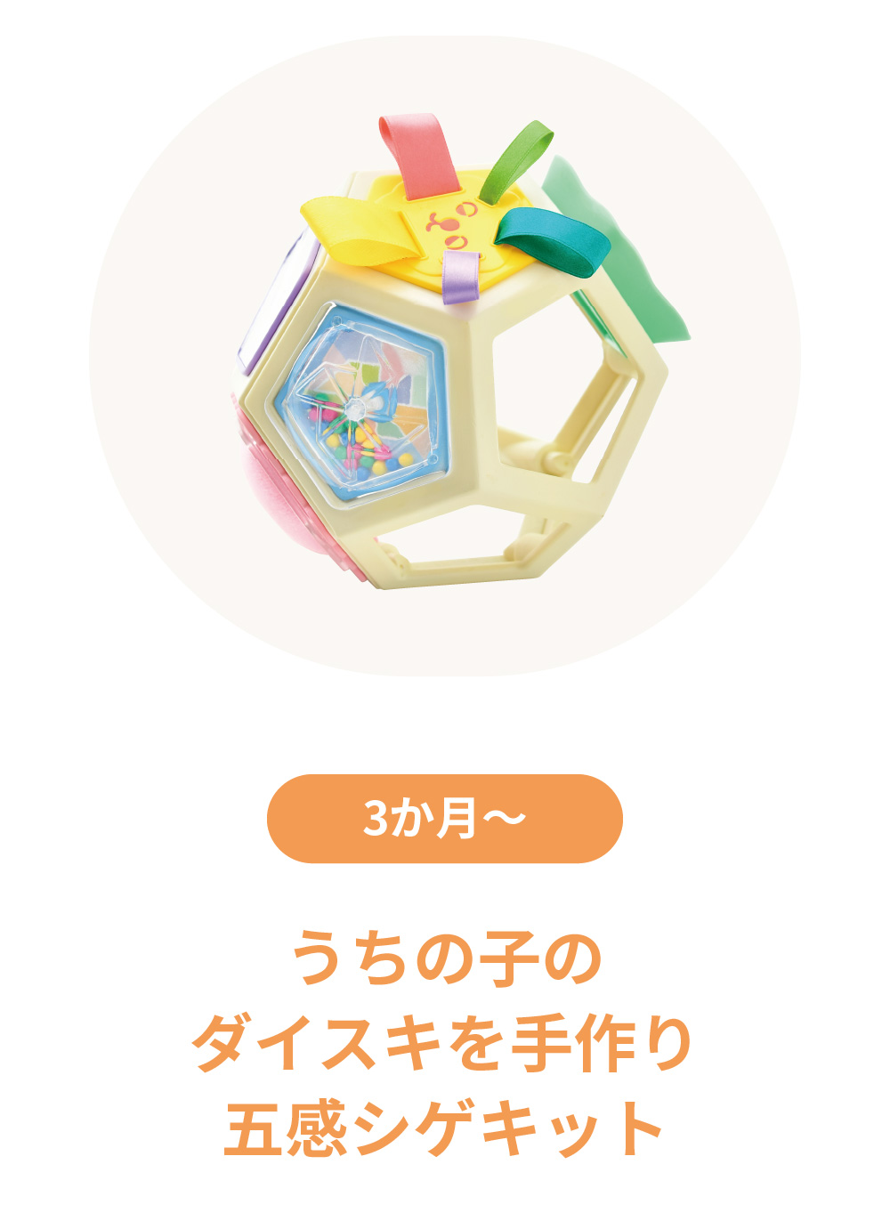 うちの子のダイスキを手作り　五感シゲキット