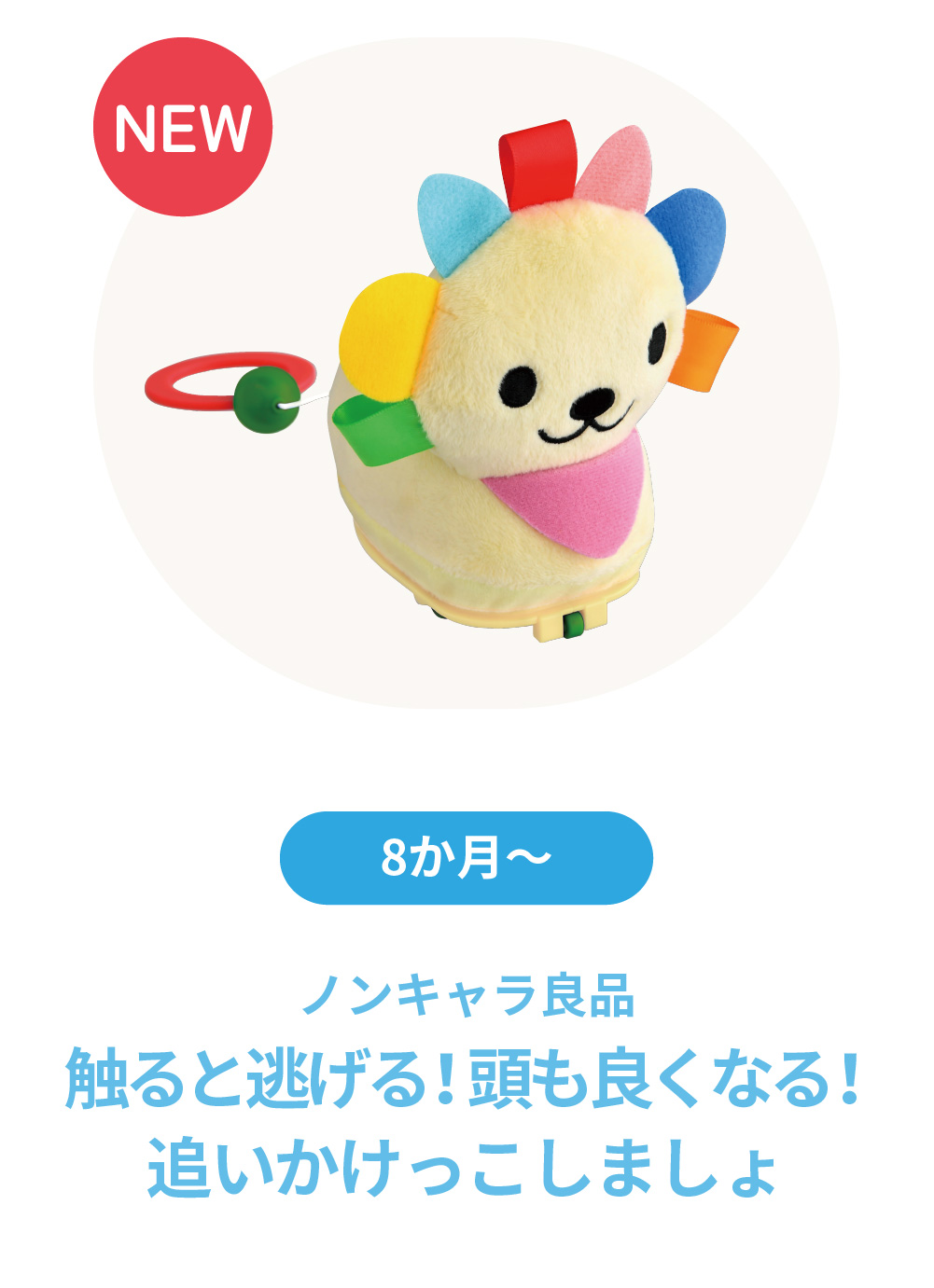 触ると逃げる！頭も良くなる！追いかけっこしましょ