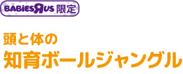 知育ボールジャングル