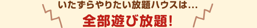 いたずらやりたい放題ハウスは・・・全部遊び放題！